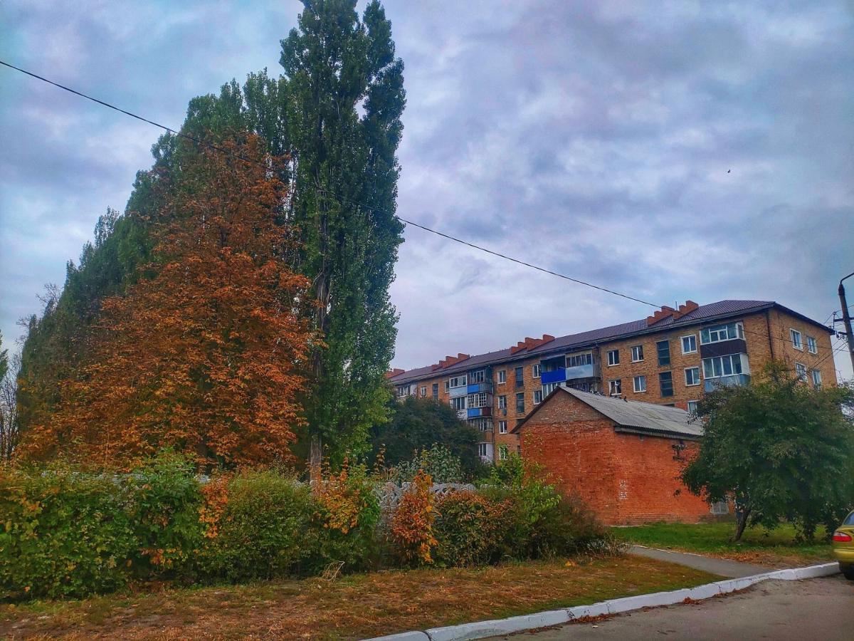 2Х Кімнатна Квартира На Вулиці Лесі Українки Uzyn Extérieur photo